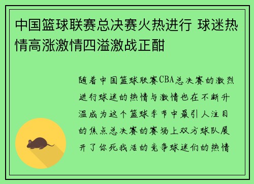中国篮球联赛总决赛火热进行 球迷热情高涨激情四溢激战正酣
